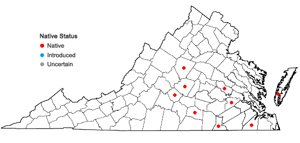 Locations ofTrematodon longicollis Michaux in Virginia