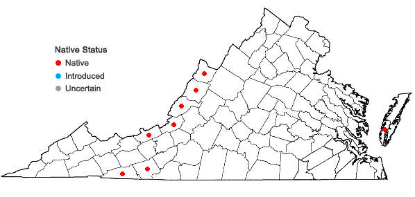 Locations ofTriadenum fraseri (Spach) Gleason in Virginia