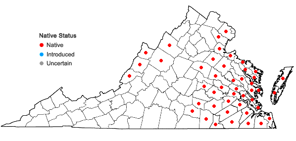 Locations ofTriadenum virginicum (L.) Raf. in Virginia