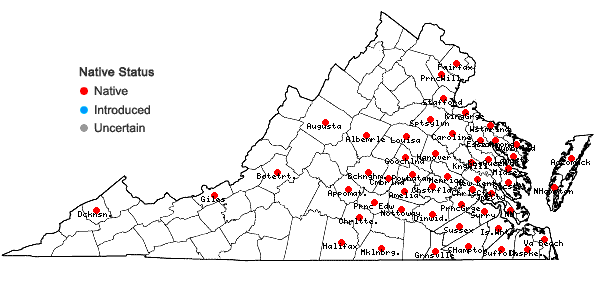 Locations ofTriadenum walteri (J. G.Gmel.) Gleason in Virginia