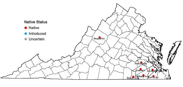 Locations ofTriantha racemosa (Walt.) Small in Virginia