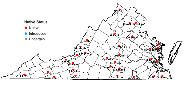 Locations ofTrichocolea tomentella (Ehrh.) Dumort. in Virginia