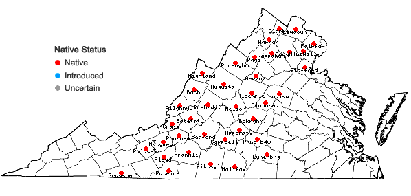 Locations ofTrichophorum planifolium (Sprengel) Palla in Virginia