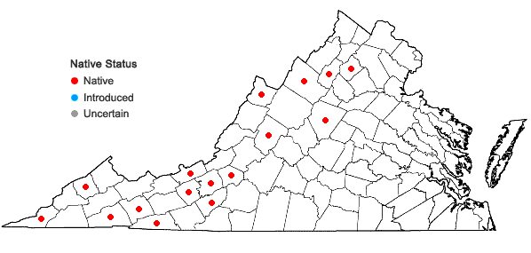 Locations ofTrichostomum tenuirostre (Hook. & Taylor) Lindb. var. tenuirostre in Virginia