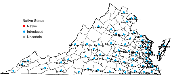 Locations ofTrifolium dubium Sibthorp in Virginia