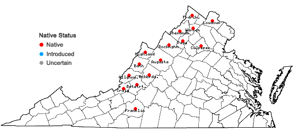 Locations ofTrifolium virginicum Small in Virginia