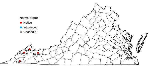 Locations ofTrillium flexipes Raf. in Virginia