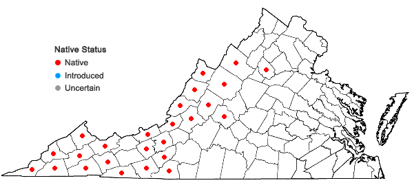 Locations ofTrillium undulatum Willd. in Virginia