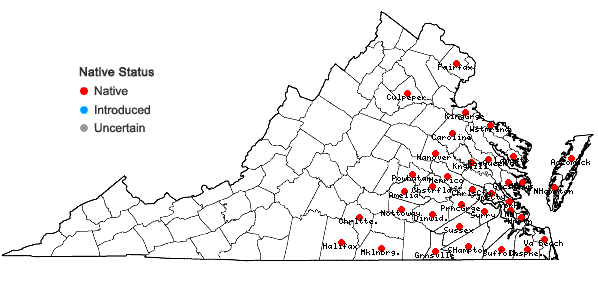 Locations ofTriodanis biflora (Ruiz & Pavon) Greene in Virginia