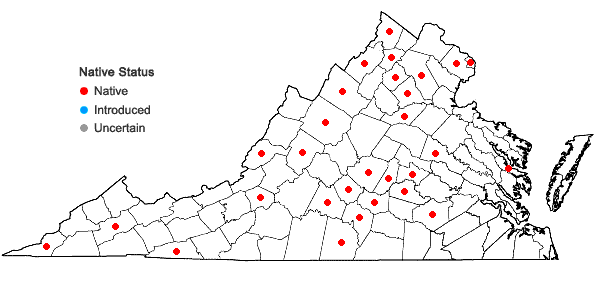 Locations ofTriosteum angustifolium L. in Virginia