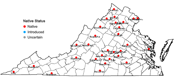 Locations ofTriosteum angustifolium L. in Virginia