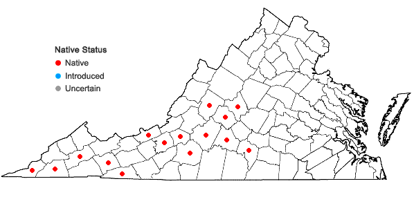 Locations ofTriosteum aurantiacum Bickn. var. aurantiacum in Virginia