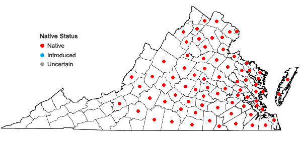 Locations ofTripsacum dactyloides (L.) L. var. dactyloides in Virginia