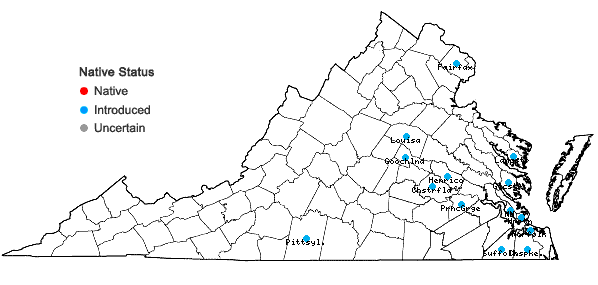 Locations ofTristagma uniflorum (Graham) Traub in Virginia