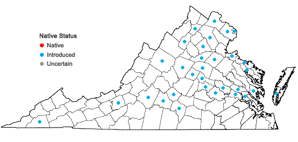 Locations ofTriticum aestivum L. in Virginia