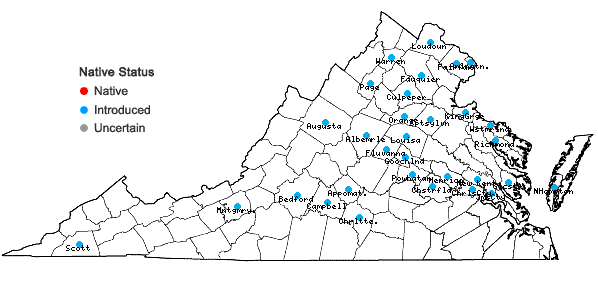 Locations ofTriticum aestivum L. in Virginia