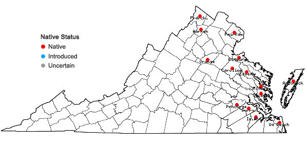 Locations ofTypha ×glauca Godron in Virginia