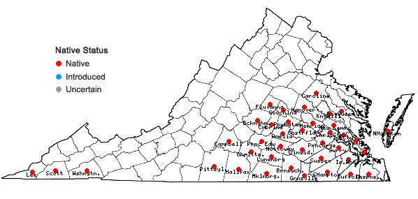 Locations ofUlmus alata Michx. in Virginia