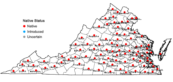 Locations ofUlmus americana L. in Virginia