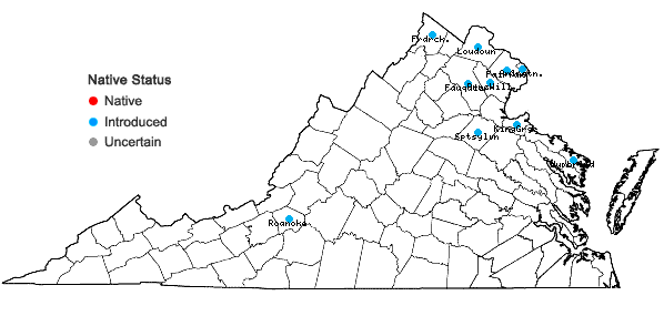 Locations ofUlmus parvifolia Jacq. in Virginia