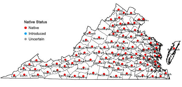 Locations ofUlmus rubra Muhl. in Virginia