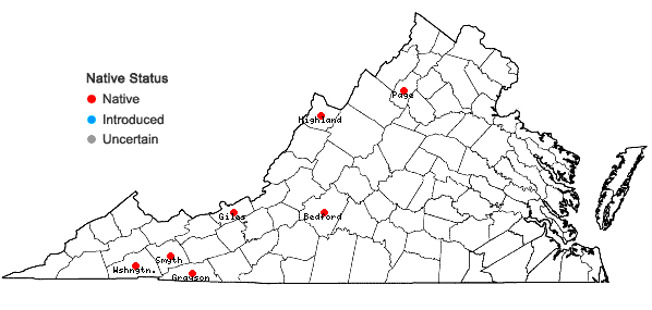 Locations ofUlota coarctata (P. Beauv.) Hammar in Virginia
