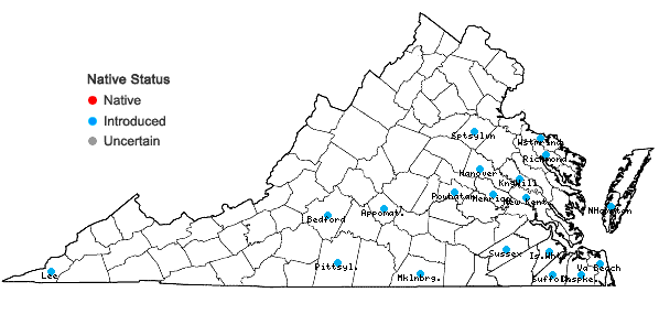 Locations ofUrochloa platyphylla (Munro ex Wright) R. Webster in Virginia