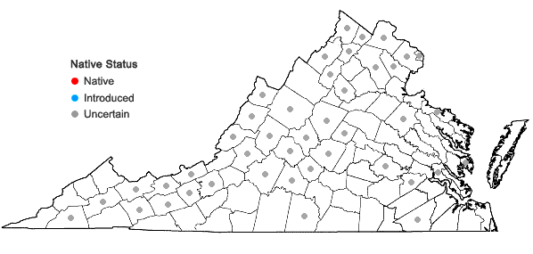 Locations ofUrtica dioica L. + Urtica gracilis Ait. ssp. gracilis in Virginia
