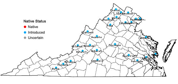 Locations ofUrtica dioica L. in Virginia
