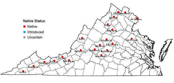 Locations ofUrtica gracilis Ait. ssp. gracilis in Virginia