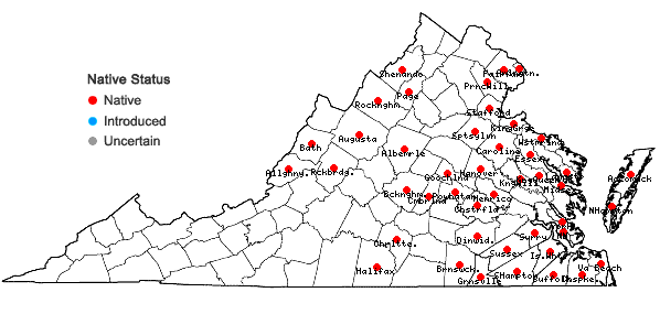 Locations ofUtricularia gibba L. in Virginia