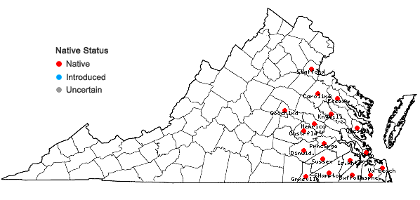 Locations ofUtricularia inflata Walt. in Virginia
