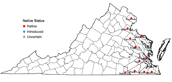 Locations ofUtricularia macrorhiza Le Conte in Virginia