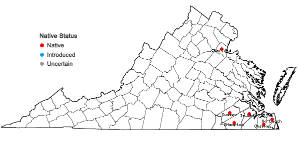 Locations ofUtricularia purpurea Walt. in Virginia