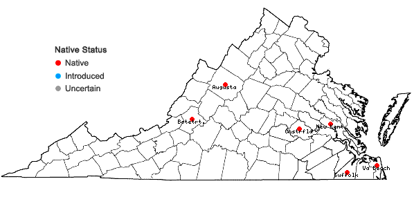 Locations ofUtricularia striata Le Conte ex Torrey in Virginia