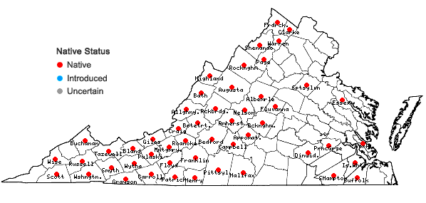 Locations ofUvularia puberula Michx. in Virginia