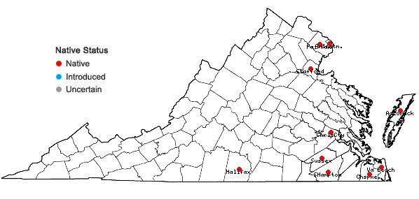 Locations ofVaccinium caesariense Mackenzie in Virginia