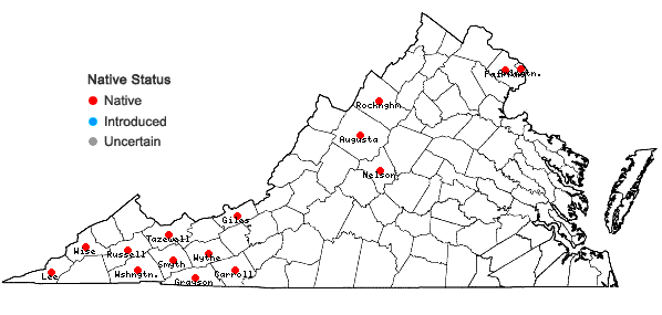 Locations ofVaccinium corymbosum L. in Virginia