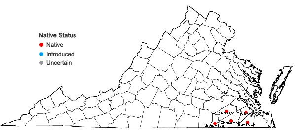 Locations ofVaccinium elliottii Chapman in Virginia