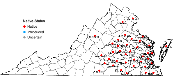 Locations ofVaccinium formosum Andr. in Virginia