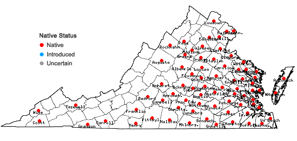 Locations ofVaccinium fuscatum Ait. in Virginia