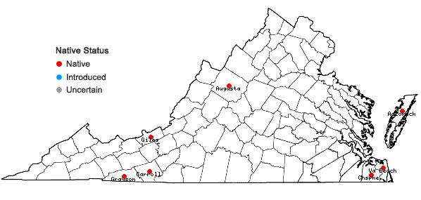 Locations ofVaccinium macrocarpon Ait. in Virginia