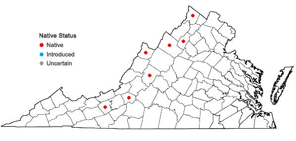 Locations ofVaccinium myrtilloides Michx. in Virginia