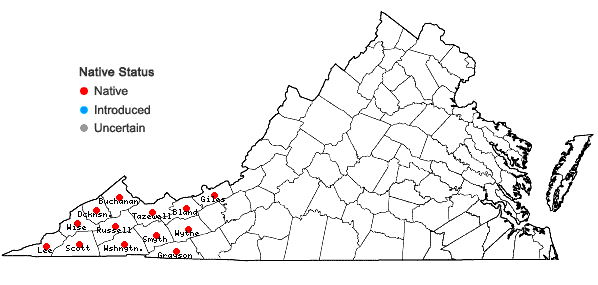 Locations ofVaccinium simulatum Small in Virginia