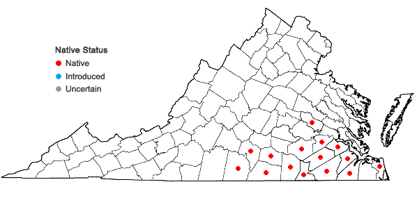 Locations ofVaccinium tenellum Ait. in Virginia