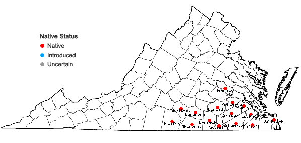 Locations ofVaccinium tenellum Ait. in Virginia