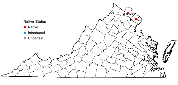 Locations ofValeriana pauciflora Michaux in Virginia