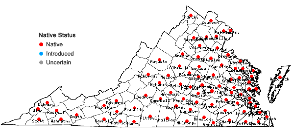 Locations ofValerianella radiata (L.) Dufr. in Virginia