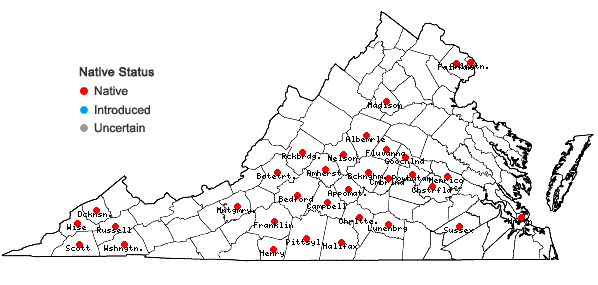 Locations ofValerianella umbilicata (Sull.) Wood in Virginia