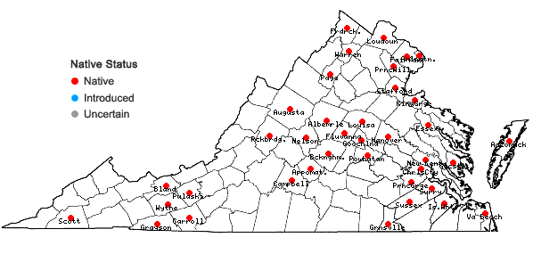 Locations ofVallisneria americana Michx. in Virginia